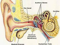 Ear drainage and blocked ears