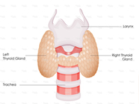 Thyroid conditions